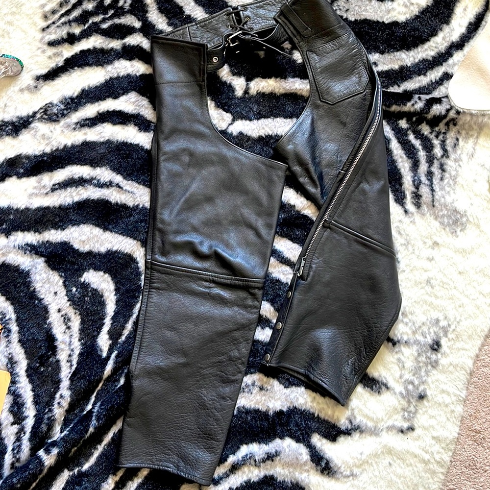 Leather Chaps - image 1